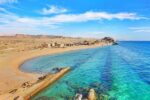 نبود سند گردشگری استان بوشهر کار برنامه‌ریزی علمی را سخت کرد/ کسب رتبه نخست جهاد دانشگاهی بوشهر در حوزه سلول های بنیادی
