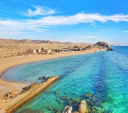 نبود سند گردشگری استان بوشهر کار برنامه‌ریزی علمی را سخت کرد/ کسب رتبه نخست جهاد دانشگاهی بوشهر در حوزه سلول های بنیادی