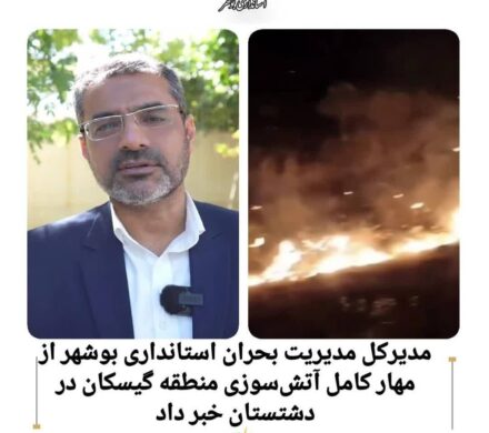 آتش سوزی برازجان مهار شد