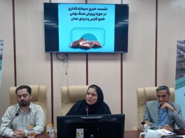 تولید سالانه ۸۵ تن صدف خوراکی در استان بوشهر/ خرید تضمینی توسط بخش خصوصی