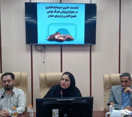 تولید سالانه ۸۵ تن صدف خوراکی در استان بوشهر/ خرید تضمینی توسط بخش خصوصی