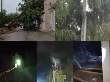 بازدید میدانی مدیرعامل شرکت از همکاران عملیاتی و شبکه های آسیب دیده برق شهرستان گناوه