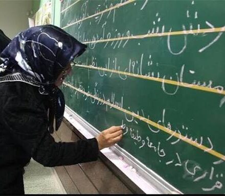 بالاترین و پایین‌ترین شهرستان‌ها در حوزه سواد اعلام شد