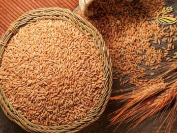 تولید و توزیع آرد در بوشهر روزانه است/ فعالیت۲۱۸ واحد مرغداری در بوشهر